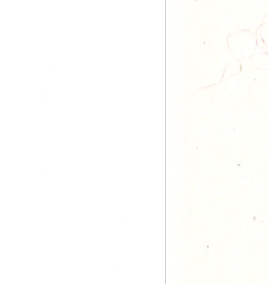 cSolosDOOR_LH-2