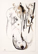 2008-09-02_PlumeDaughter