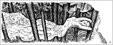 KathLong_Creek1